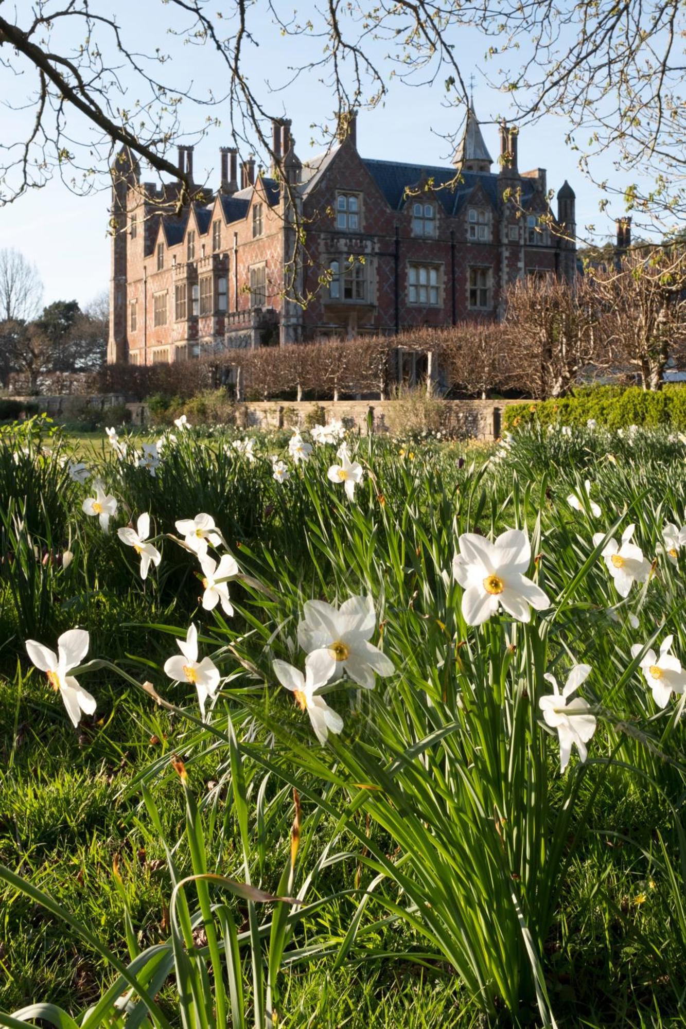 Horsted Place Hotel Uckfield Buitenkant foto